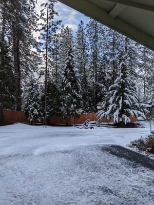 Feb snow.jpg
