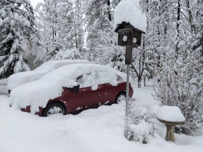 snowy cars.jpg