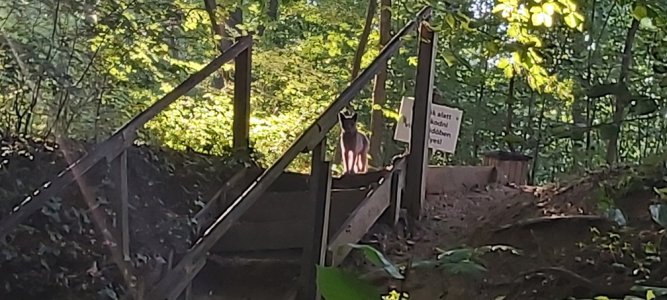 20230821_173646_25.jpg 20230821_173646_25.jpg