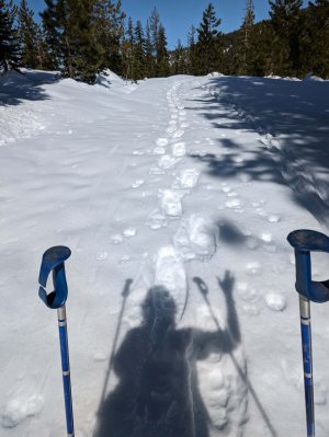 snowshoe shadow.jpg