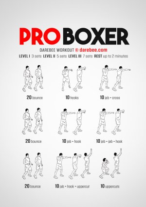 pro-boxer-workout.jpg